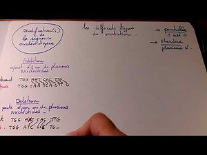 les types de mutations