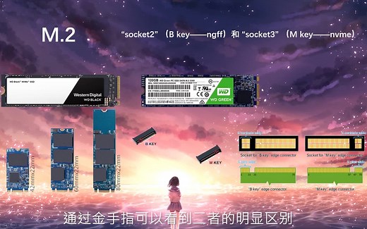 【固态硬盘知多少-接口篇】固态硬盘接口知识讲解/固态硬盘购买必看