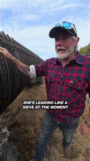 The weird things you find in Tassie