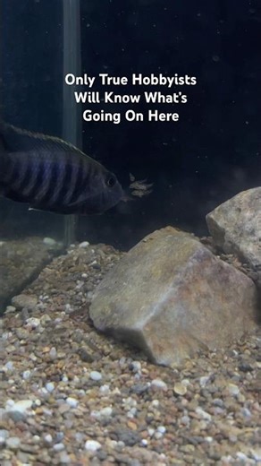 Guess What’s Going On