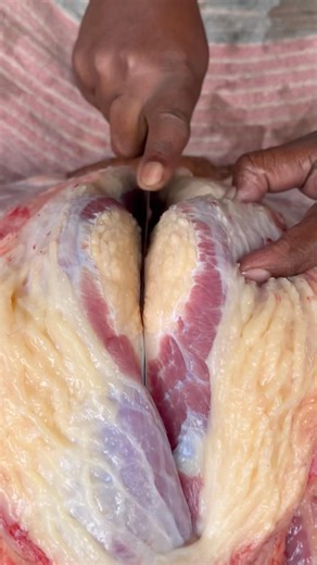 Cow's ribs fat slicing skills #meatcuttingtechniques #meatslicing #meatmarket