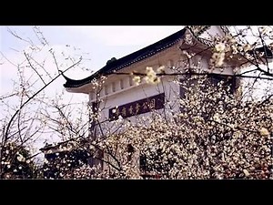 Guangzhou snow falls! first time since 1949 strange climate weather in winter 廣州竟然下雪！
