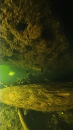 New River Diving: Chasing a Catfish Through the Edge of Catfish Cave #scuba #scubadiving #NewRiver