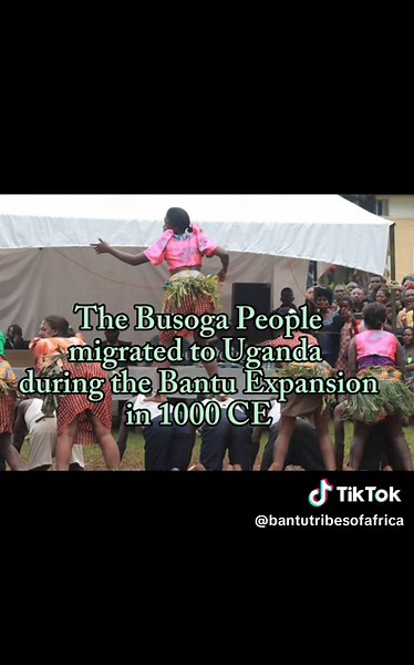 Bantu Tribe: Busoga People of Eastern Uganda 🇺🇬 #tribe #ugandafyp #uganda #fyp #viral #eastafricantiktoks #eastafrica #basogatribe #lusoga #indigenous #bantu #bantupeoples #bantutribes #bantufyp