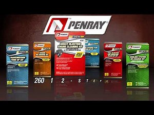 Penray 2601 2 Step Engine Cleaning Kit