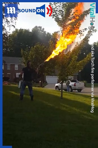 'We don't need an exterminator!' 😨 Via ViralHog | Daily Mail Video