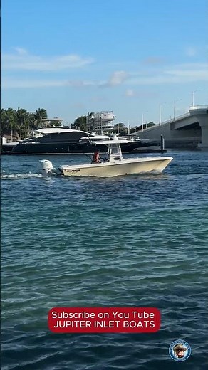 REPORTING LIVE FROM THE JUPITER WATERFRONT #roughinlets #florida #boats