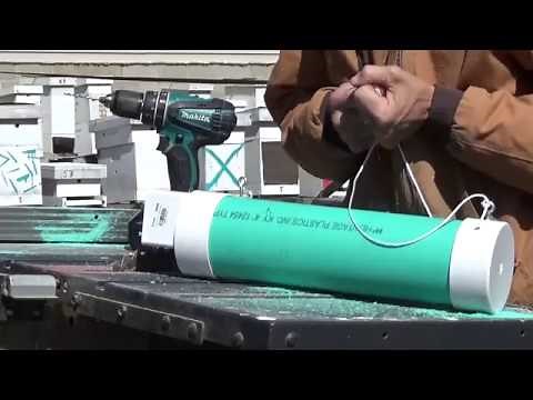 Pollen and Pollen Feeder