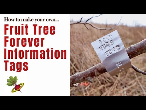 How To Make Your Own Forever Tree Identification Tags