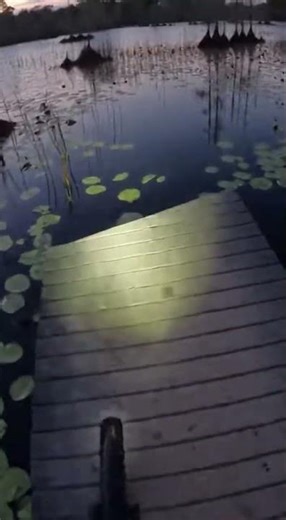 Swamp Ride Surprise!