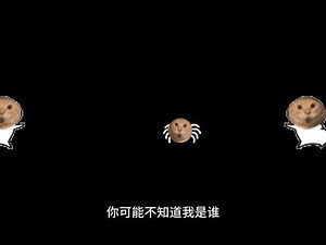耄耋表情包谁做的