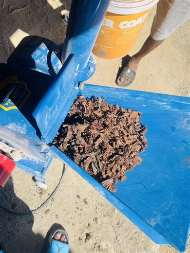 Dynacare herbal products (@dynacare_herbal_product)’s videos with Umcebo - Sjava