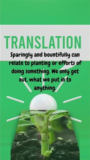 A Seed A Day | 2 Corinthians 9:6 #bible #bibleverse #jesus