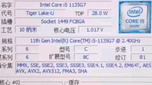 INTEL CORE I5-1135G7处理器默频状态下性能参数和CPU-Z测试得分！感谢粉丝“GTXFuryNano”提供测试视频！_哔哩哔哩_bilibili