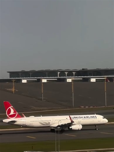 Exploring the Excitement of Airlines and Takeoff