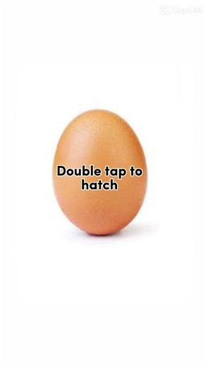 Watch till the end to see what you hatch #cat #memes #shorts