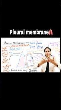 Lungs have NO muscles 😳🔥#shorts #biology #youtube #education #trending #viral #shortseducation
