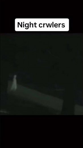 The Terrifying Night Crawler Caught on Camera 😱 #nightcrawlers