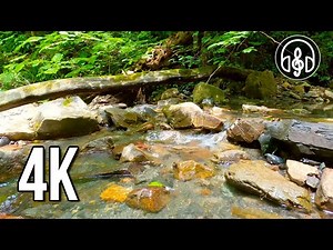 Gentle sounds of a mountain stream with the singing of spring birds.