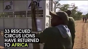 2.3M views · 5.2K reactions | :D | IFLScience | Facebook