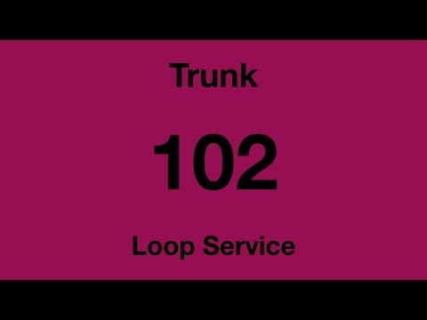 [SBS Transit] Trunk Bus Service 102 Hyperlapse