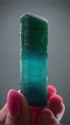 Rare Indicolite Tourmaline Crystal from Brazil | Gem Collectors' Hidden Treasure