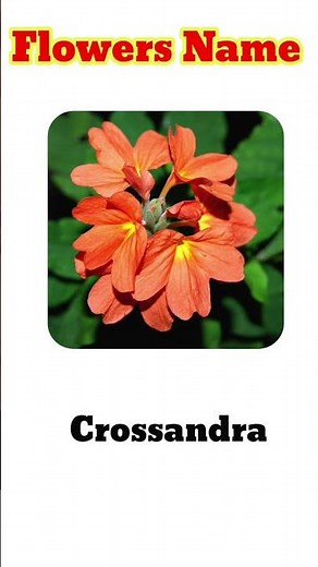 Flower names || #flowersname