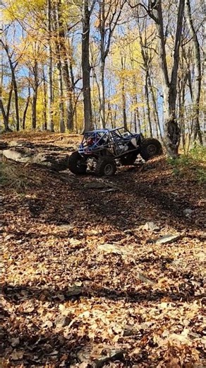 Throwback to some fall wheeling #buggy #offroad #traction #minnesota