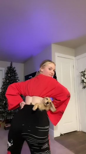 so we gonna hit a milli or what? 😌✨ • no doxies were harmed in the making of this video @aylathedoxie