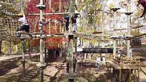 Our Aerial Obstacle Course has 3-levels of fun, adrenaline and 90+...
