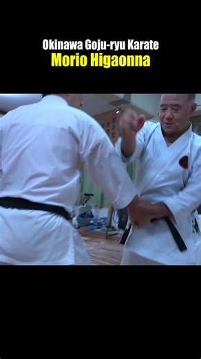 Mastering Okinawa Goju Ryu Karate Techniques