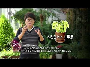 자연에 과학을, 도시원예로 삶을 힐링하다 -국립원예특작과학원 김광진 연구관 - 철밥통은 가라 -