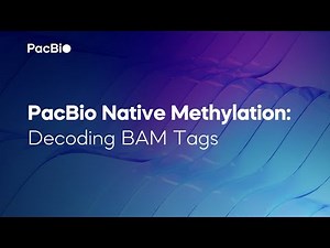 PacBio Native Methylation: Decoding BAM Tags