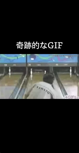 奇跡的なGIF集：面白い瞬間を見逃すな