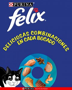 Sorprende a tu gato cada día con las deliciosas combinaciones de Felix®. Ya sea alimento seco o húmedo, cada uno con un sabor nuevo y delicioso.⁣ | Purina Felix