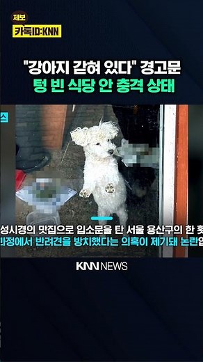 Controversy Over Neglect of Elderly Dog After Closing Down Restaurant Famous as 'Sung Si-kyung's ...
