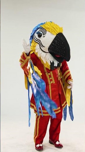meet the macaw #themaskedsinger #360