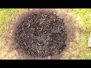 Biochar. Easy DIY bog-filter for the garden pond. VLOG 4 2024