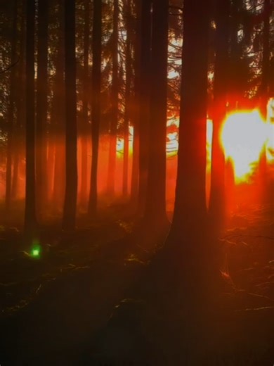 🫶🎼🩷🩵🩷🎼🫶 #bicep #sunset #music #fyp