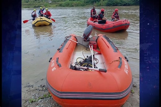 3.9K views · 37 reactions | Ecovisión Borbón on Reels | Facebook