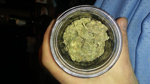 Cream Caramel | Marijuana Strain Reviews