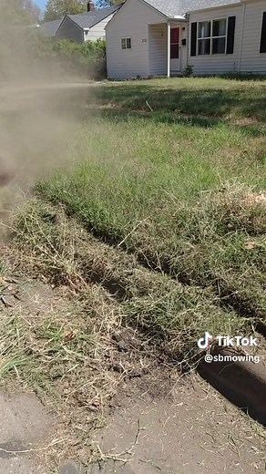 I PAID him $100 to mow his lawn and he thought I was CRAZY 😲 #mowing #edging #satisfying #asmr #viral #viralvideo #fyp #fypシ #overgrown #homeowner #sbmowing