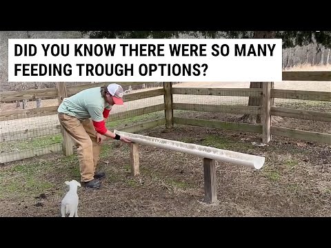 Comparing Goat and Sheep Feeding Trough Options