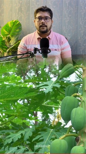 Samiruddin sk | Papaya leps #viral #trending #beuty | Instagram