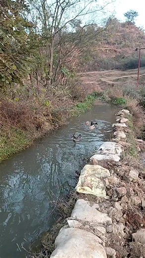 Live video | Right Channel