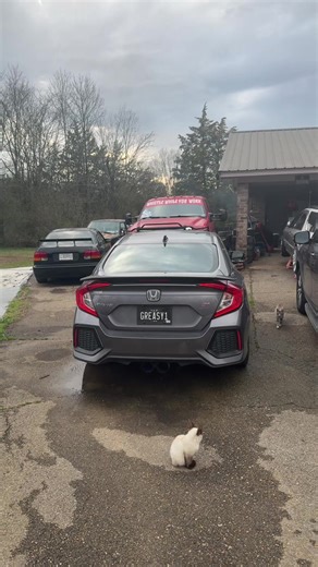 Enhanced Visibility with Upgraded LED Brake Lights