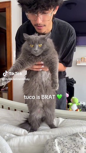 madeline may (@mmadelinemmay)’s videos with original sound - Jacob