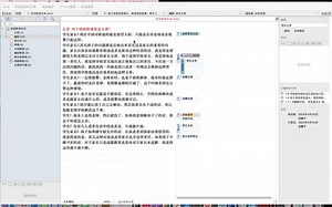 Atlas.ti分割编码