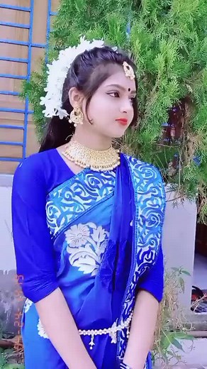 Traditional Attire Showcase: Elegance in Saree