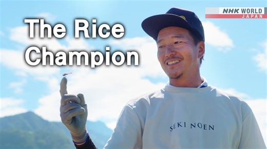 A rice farmer in Niigata has taken top prize multiple times in international competitions.🎥 ⬇️ https://www3.nhk.or.jp/nhkworld/en/shows/4003193/?cid=wohk-fb-org The Professionals Putting Himself Into Every Grain: Seki Tomoharu, Rice Farmer | NHK WORLD-JAPAN